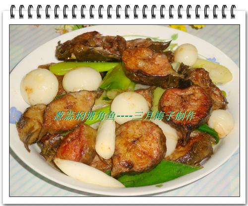 �����������������