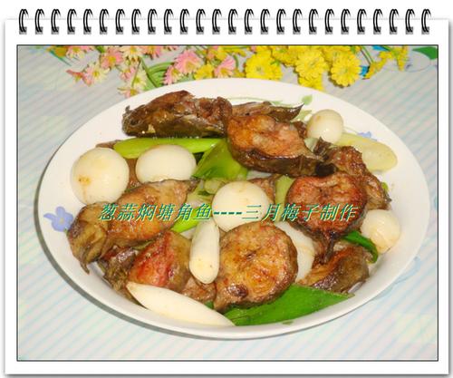 �����������������