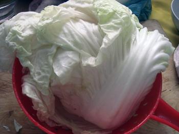 �ײ˼���Ũ��������