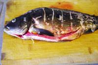 ��Ī�����������