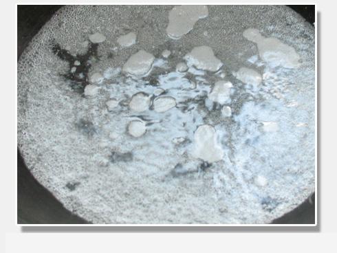 ˿�ϳ���������