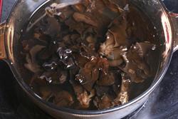 ��ɫ�Ŷ���ľ��������