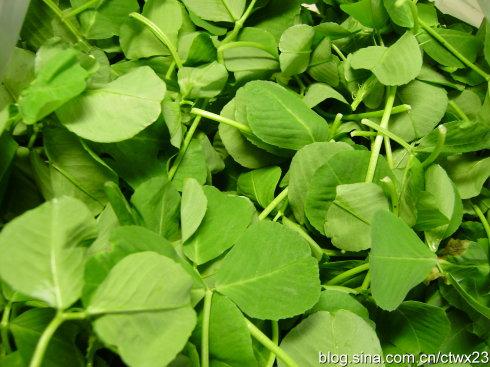 生煸草头的做法