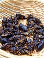 ����ը֪�˵�����