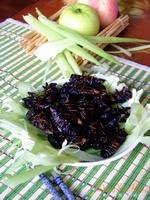 ����ը֪�˵�����