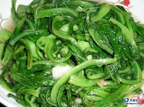 ��������˵�����