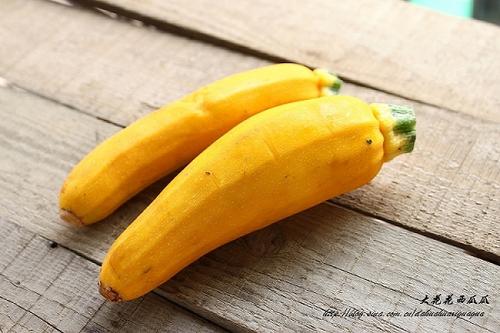 ���㽶����«������