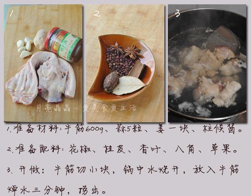 ������ţ�������