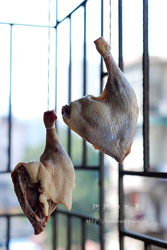 ������Ѽ�ȵ�����