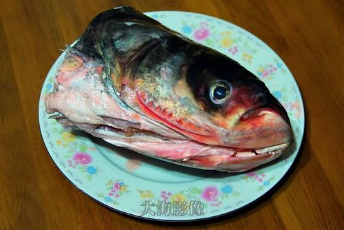 ������ͷ��ͷ������