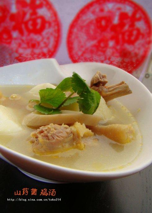 ɽҩ����������������