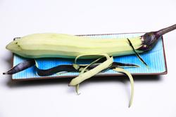 ��ζз�����ӵ�����