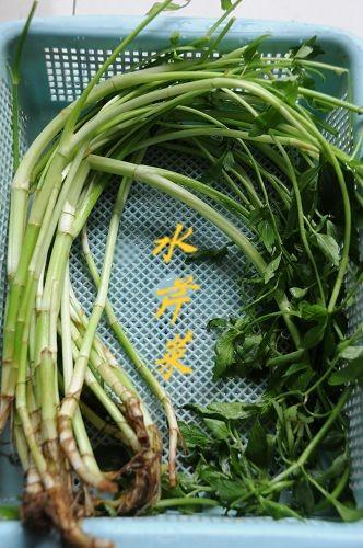 ˮ��ǧ�ų�ţ��������