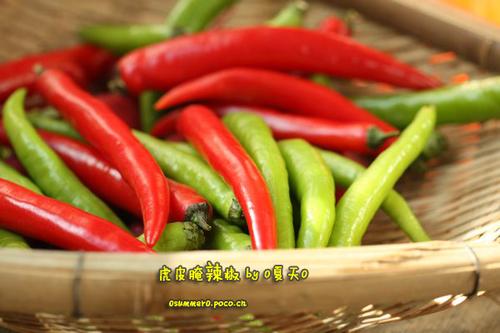 ��Ƥ������������