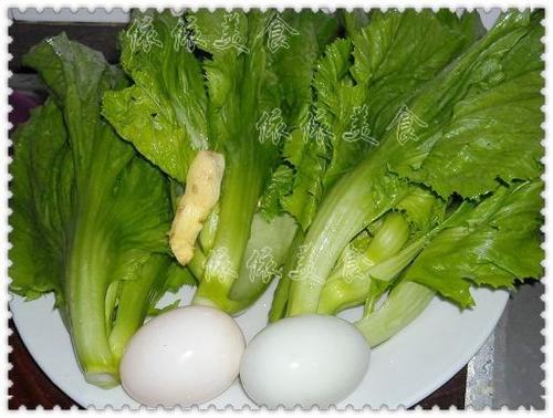 ����̵�������