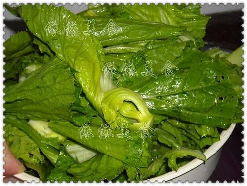 ����̵�������