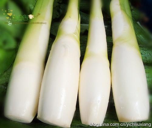 倒笃菜茭白的做法