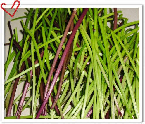 �峴�عϹ�������