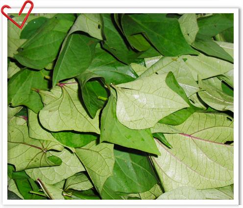 �峴�عϹ�������