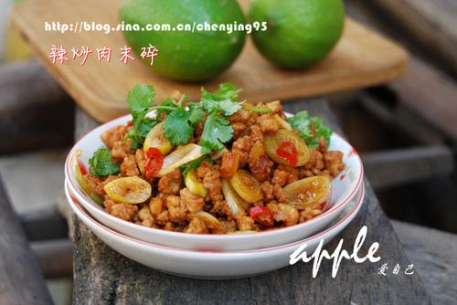 辣炒肉末碎的做法