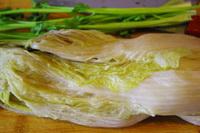 ��������˵�����