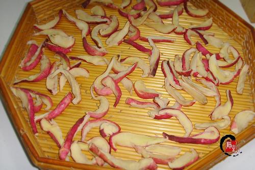 ��Ȼ�ܲ��ɵ�����