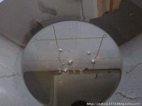 ���㼦�������