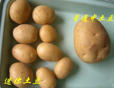 �����ñ���������������