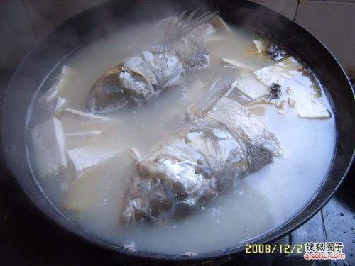 ��ͷ�󶹸�������