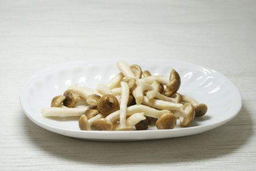 зζ����˿�ϵ�����