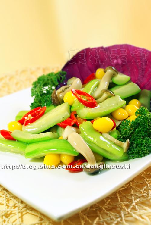 зζ����˿�ϵ�����