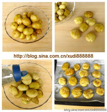 ��ݿ�����������