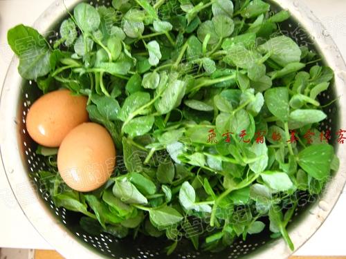 �㶹�糴����������