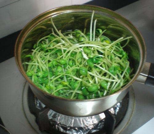炝拌黑豆芽的做法