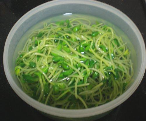 炝拌黑豆芽的做法