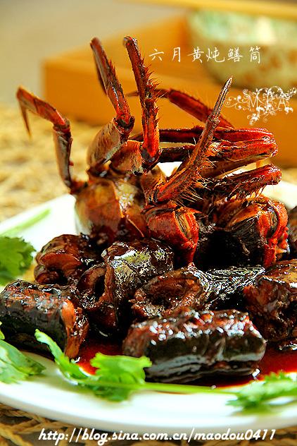 ���»�����Ͳ������