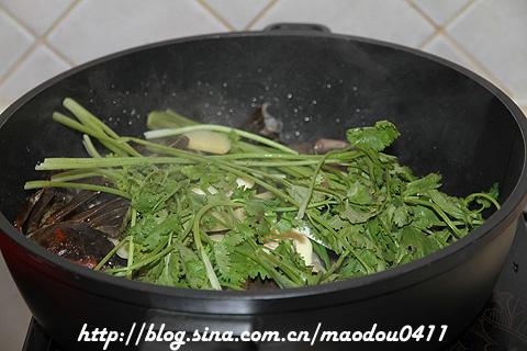 ���»�����Ͳ������