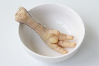 �����צ������