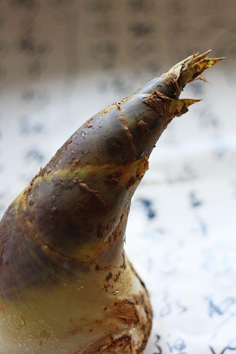 ���ͽ�֭�����������