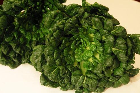 �㹽�ѿ�˵�����