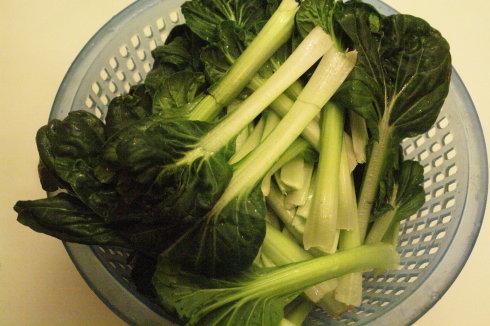 �㹽�ѿ�˵�����