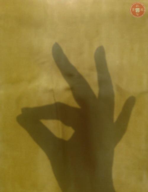 干豆腐红烧肉的做法