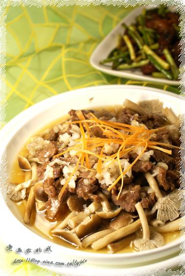 ��������ţ�������