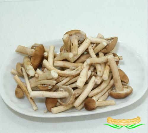 �������ײ�����������