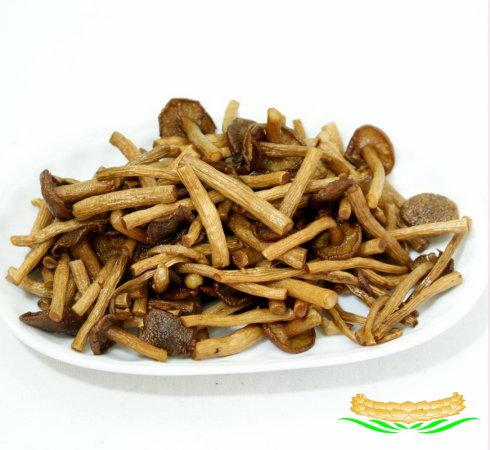 �������ײ�����������