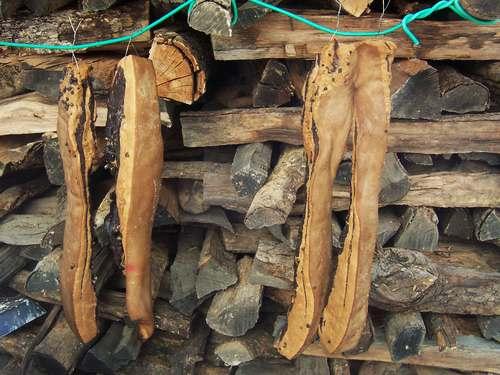 �Ҵ����ͷ��������