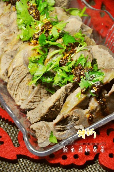 ±ţ�����������