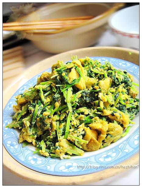 ������ĸ�ݵ�����