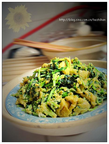 ������ĸ�ݵ�����