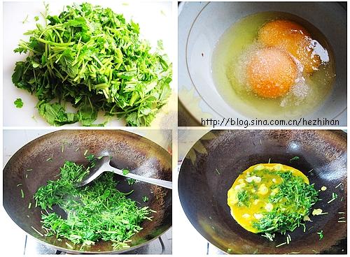 ������ĸ�ݵ�����